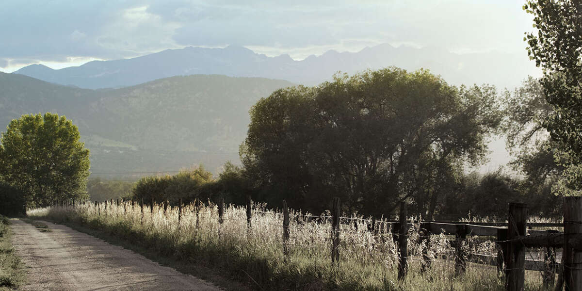 Divestiture Tapestry Associates