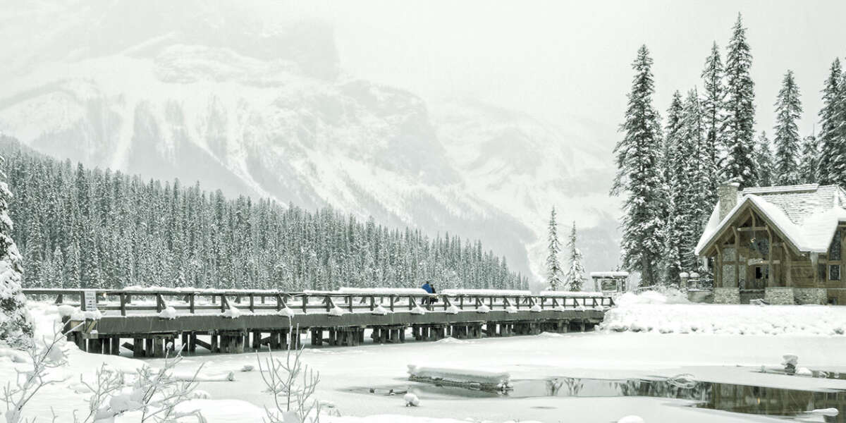 Operations Tapestry Associates